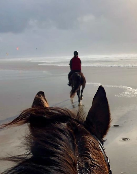 Photo du parcours équitation
