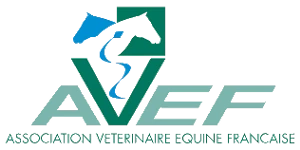 Logo AVEF