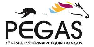 Logo Pegas